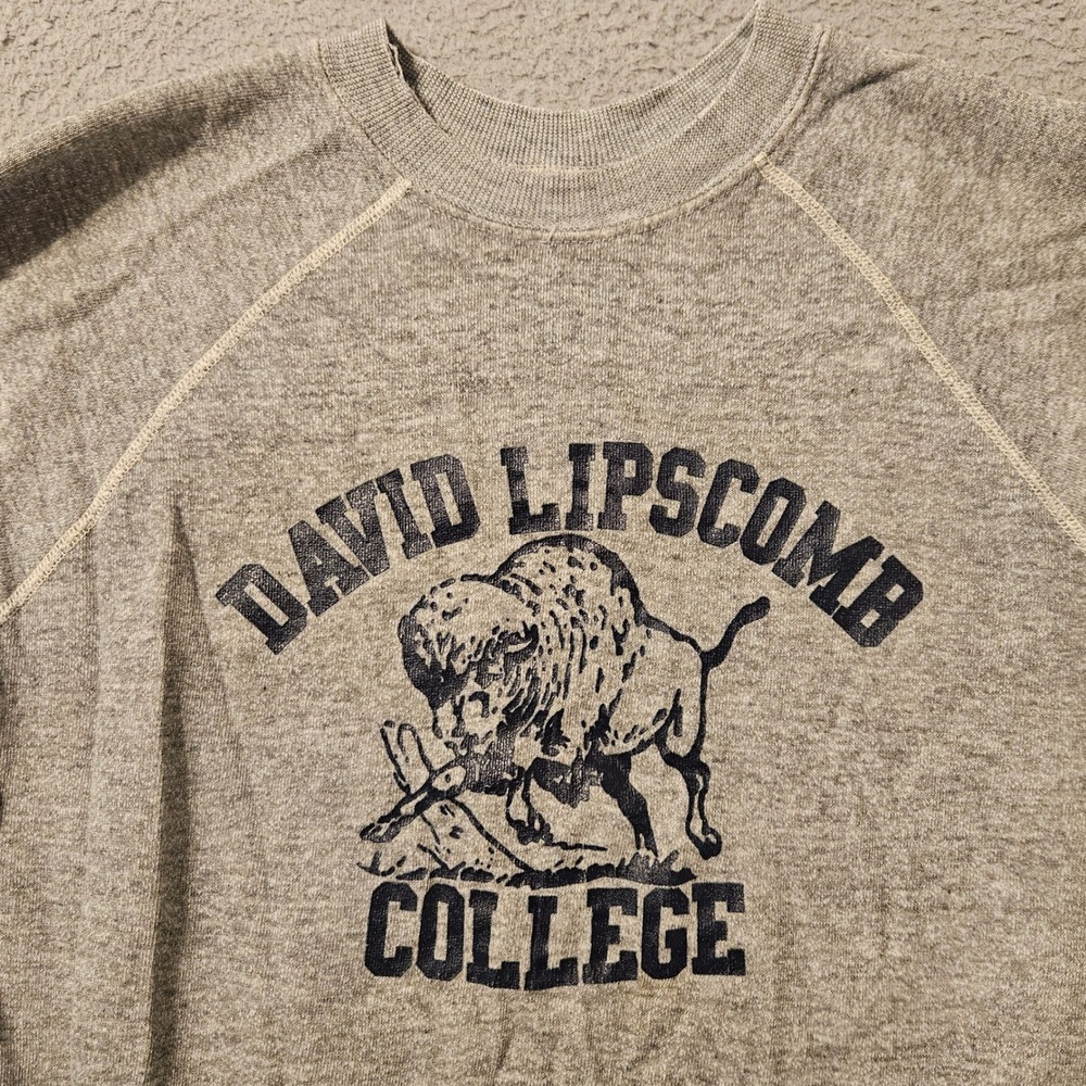 Vintage David Lipscomb College Bison Sweatshirt Gray Raglan Men L XL 20.5x24.5